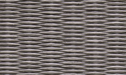 ブルーバイオレット